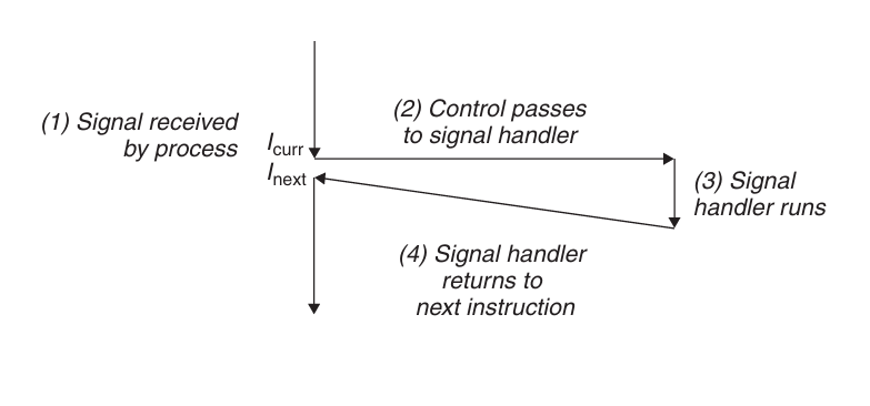 Signal Handling